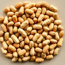 Peanut