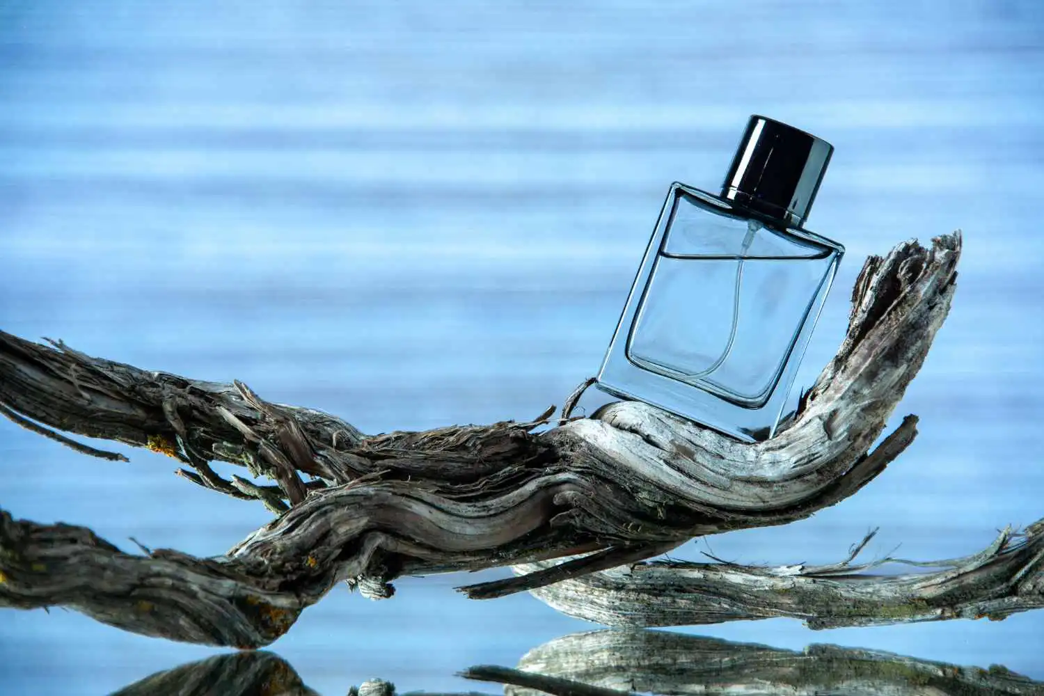 [TOP7] Najlepsze perfumy damskie do 100 zł - Ranking zapachów