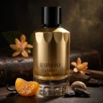 Fragrance World Harmony Code Absolute — mood_scene