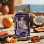 French Avenue Atlantis Extrait — mood_scene
