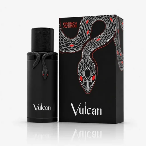 French Avenue Vulcan Black Friday — box