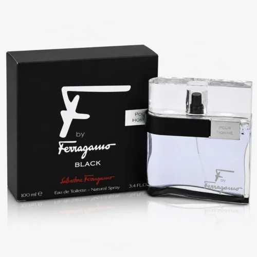 Salvatore Ferragamo F by Ferragamo Black — box