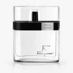 Salvatore Ferragamo F by Ferragamo Black