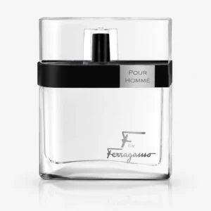 Salvatore Ferragamo F by Ferragamo Black