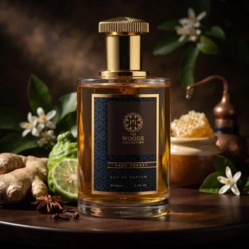 The Woods Collection Dark Forest — mood_scene