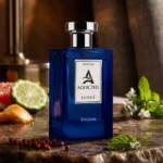 Hamidi Addicted Enigma — mood_scene